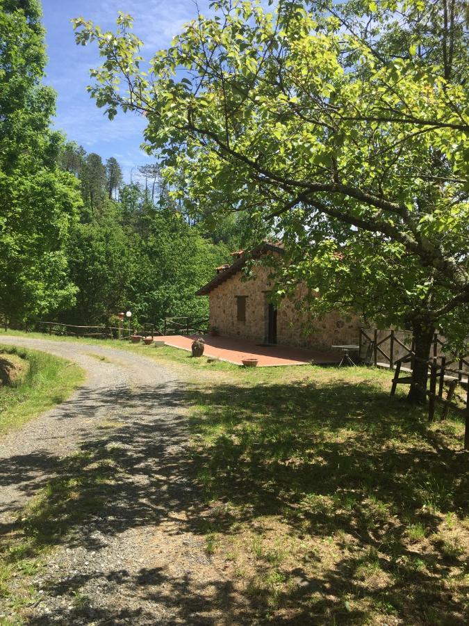 Il Casale Villa Brugnato Luaran gambar